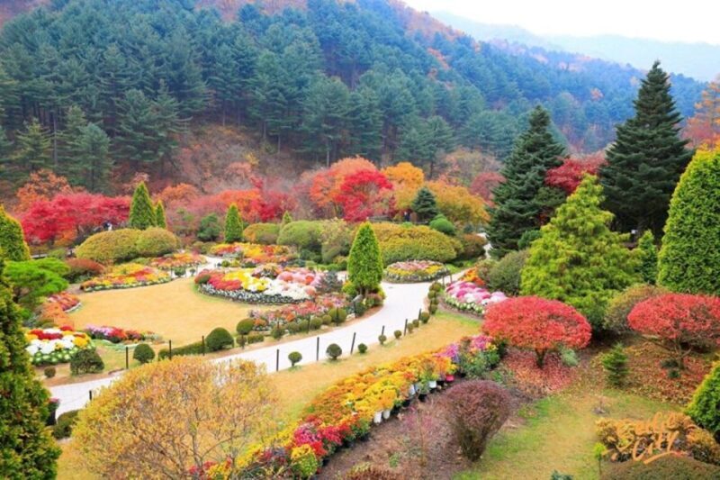 Seoul: Nami and Petite France Tour with Optional K-Garden - Key Points