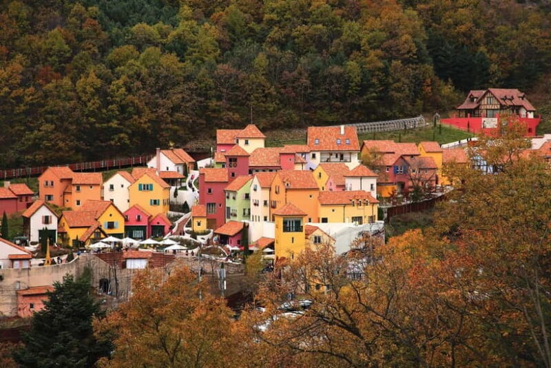 Seoul: Nami Island, Garden and Petite France (opt Railbike) - Exploring the Details: What to Expect on This Tour