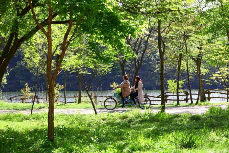 Seoul: Nami Island & Petite France Tour with Railbike Option - Key Points