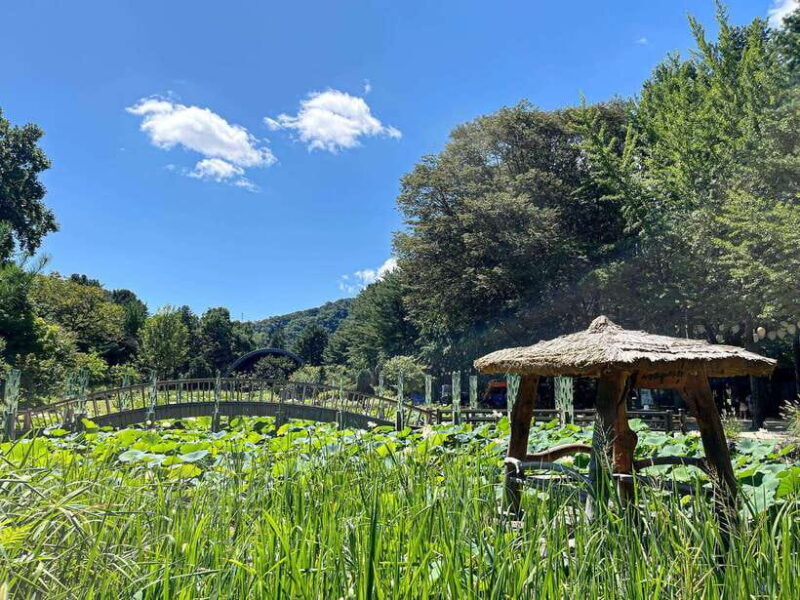 Seoul: Nami Island & Petite France Tour with Railbike Option - Authenticity and Practicality
