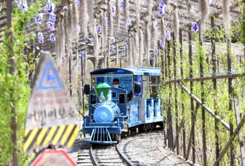 Seoul: Nami Island & Petite France Tour with Railbike Option - The Sum Up