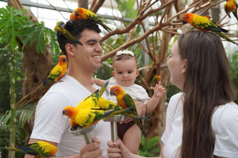 Seoul: Nami Island & Railbike & Begonia Bird Park Day Tour - The Full Experience: What to Expect on This Day Trip