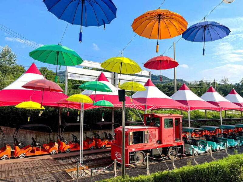 Seoul: Nami Island & Railbike & Begonia Bird Park Day Tour - Who Will Love This Tour?