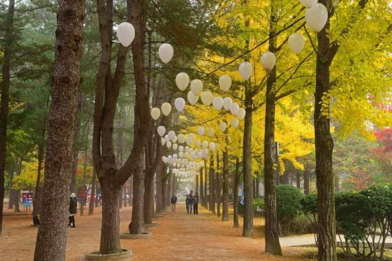 Seoul: Nami+Hanbok+Waterfall(+RailBike or Strawberry)Tour - Key Points