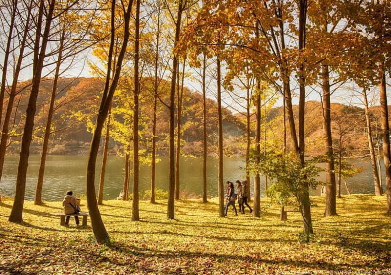 Seoul: Nami+Hanbok+Waterfall(+RailBike or Strawberry)Tour - An Overview of the Tour Experience