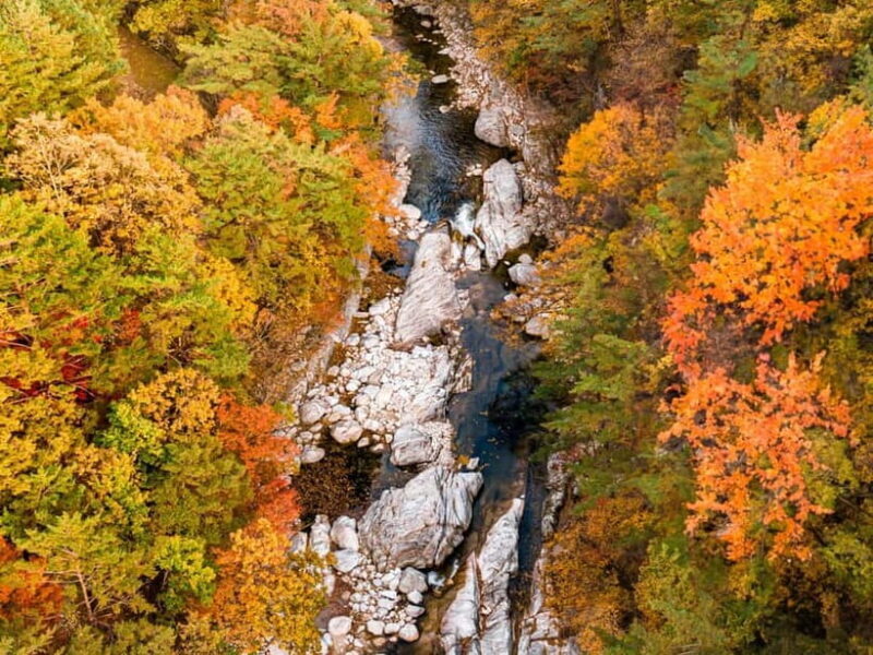 Seoul: Odaesan or Daedunsan Park Autumn Foliage Day Tour - Key Points