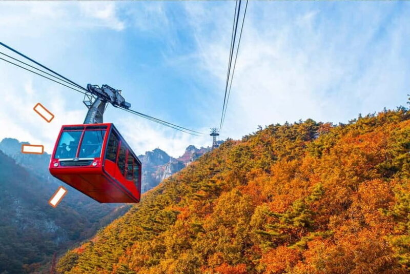 Seoul: Odaesan or Daedunsan Park Autumn Foliage Day Tour - Final Thoughts: Is This Tour Right for You?