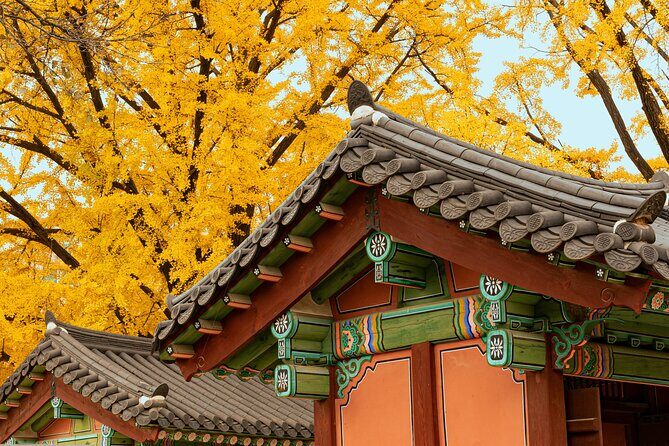 Seoul Private Layover Tour from the Airport with a Local - Key Points