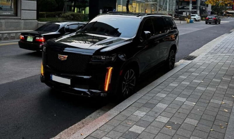 Seoul: Private Luxury Vehicle Tour - English/Spanish guiding - Final Thoughts: Who Will Love This Tour?