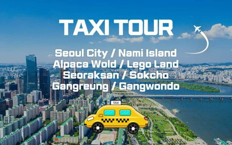 Seoul: Private Taxi Tour Car Charter - Nami Alpaca Seorak - A Detailed Look at the Experience