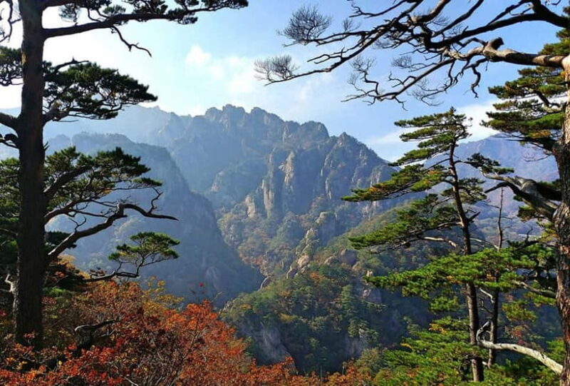 Seoul: Private Taxi Tour Car Charter - Nami Alpaca Seorak - FAQs