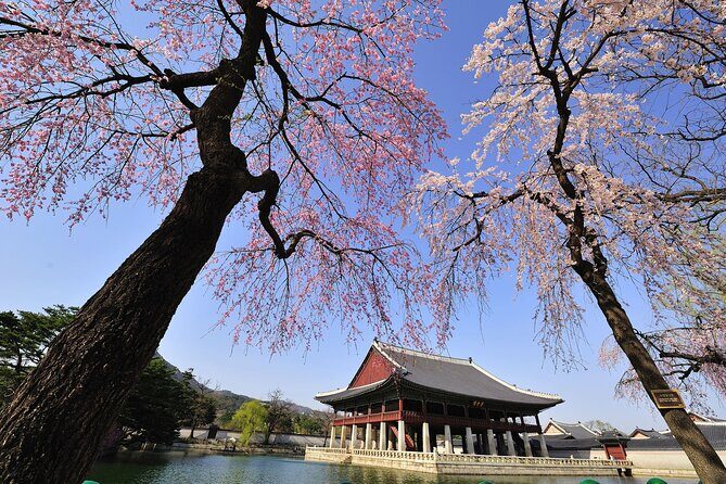 Seoul Private Tour Gyeongbok Palace Bukchon and Gwangjang Market - Transportation & Group Size