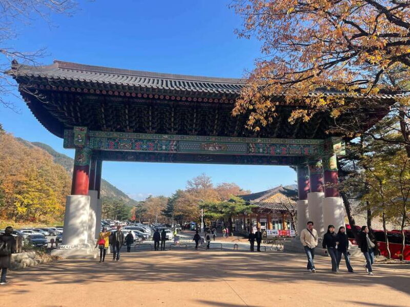 Seoul: Seorak Mountain, East DMZ, and Sokcho Tour - Visiting Goseong Unification Observatory