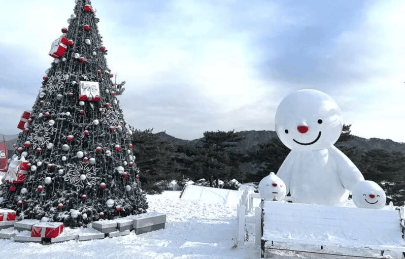 Seoul: SnowyLand in Vivaldi Park with Nami or Alpaca - What Makes This Tour Stand Out?