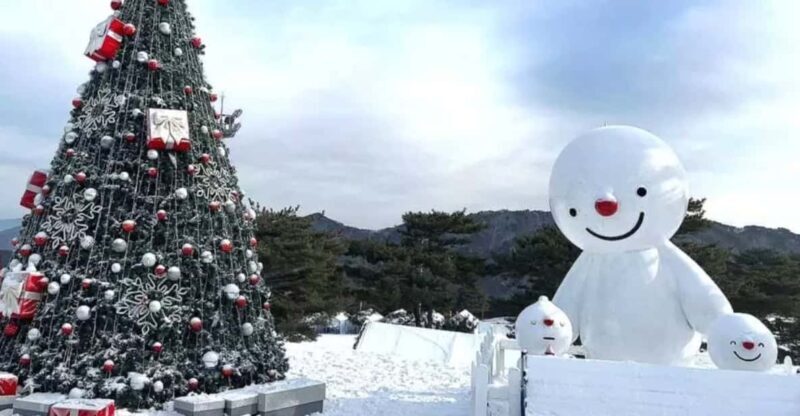 Seoul: SnowyLand in Vivaldi Park with Nami or Alpaca - FAQ