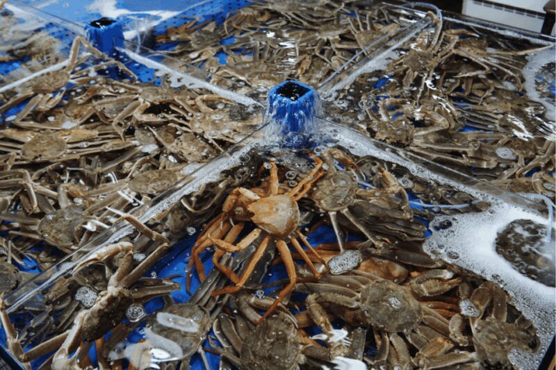 Seoul: Sokcho beach, market, hot spring and Seorak Cable Car - Final Thoughts