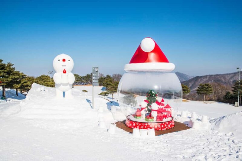 Seoul: Strawberry Picking, Winter Sled with Eobi Ice Valley - A Balanced Look at the Experience
