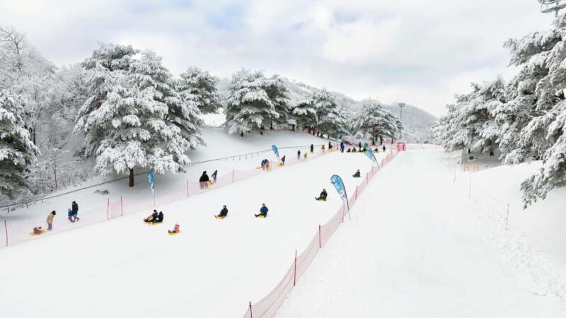 Seoul: Strawberry Picking, Winter Sled with Eobi Ice Valley - The Sum Up
