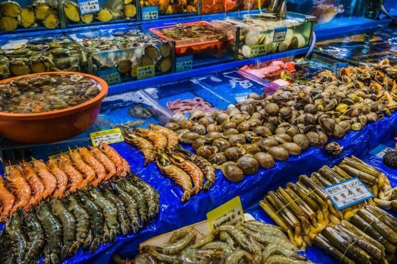 Seoul: The Biggest Sea-food Noryangjin Market Food Tour - The Sum Up: Who Is It Best For?