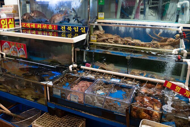 Seoul: The Biggest Sea-food Noryangjin Market Gastroventure Tour - Practical Considerations and Value