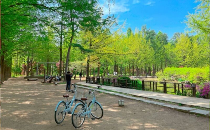 Seoul: The Painter Show with Nami Island - FAQ: Practical Questions Answered