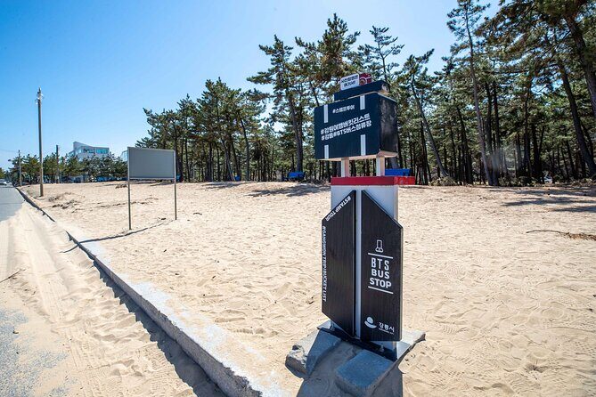 Seoul to Hyangho Beach Mt Seorak Abai Village Tour - Final Thoughts: Is It Worth It?