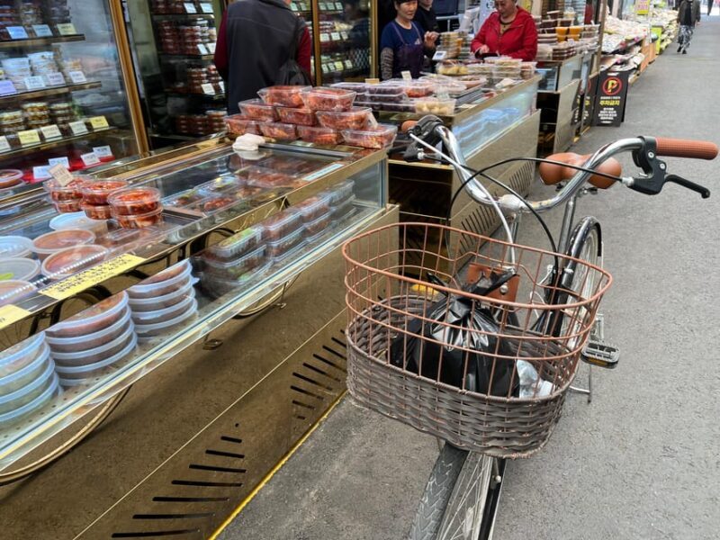 Seoul: Urban Nature Bike Tour along Han River - Discover Seoul by Bike: Urban Nature Tour Along the Han River