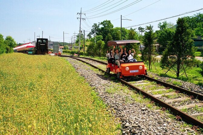 Seoul Vicinity 5 in 1: Nami Island, Garden of Morning Calm & More - A Full Review of the Seoul Vicinity 5-in-1 Tour