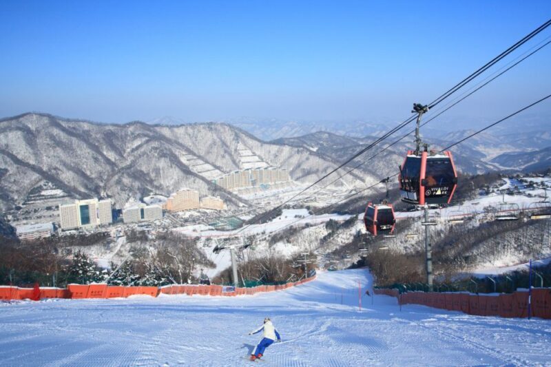 Seoul: Vivaldi Park Winter Ski with Nami Island Day Tour - Key Points