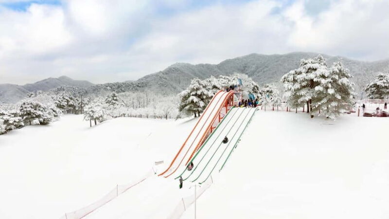 Seoul: Vivaldi Park Winter Ski with Nami Island Day Tour - Who Should Consider This Tour?