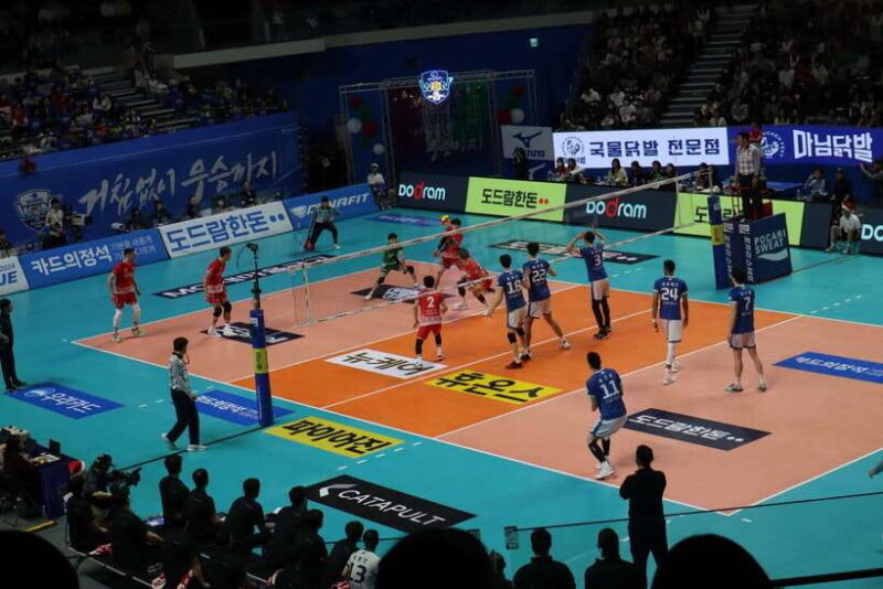 Seoul: Watching Sports Match & Local Food Experience - Key Points