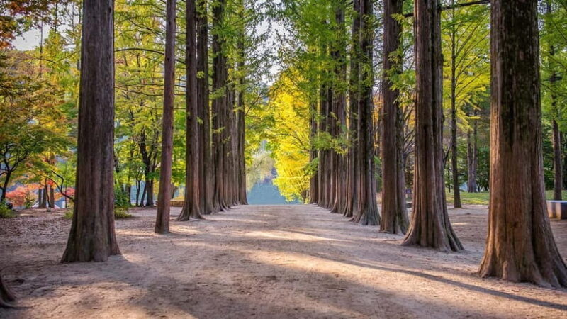 Seoul:Private-Nami Island,Morning Calm Garden,Petite France - FAQ