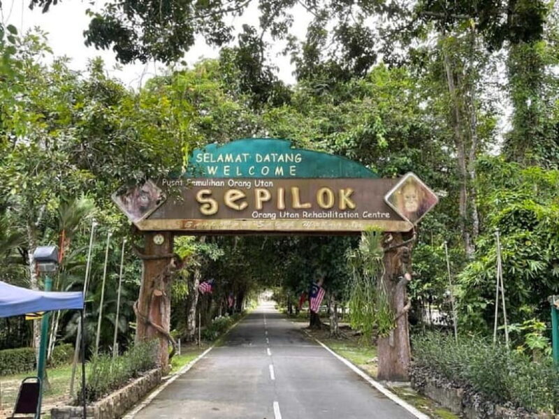 Sepilok OrangUtan, Sun Bear & Labuk Bay Full Day Trip - Who Will Love This Tour?
