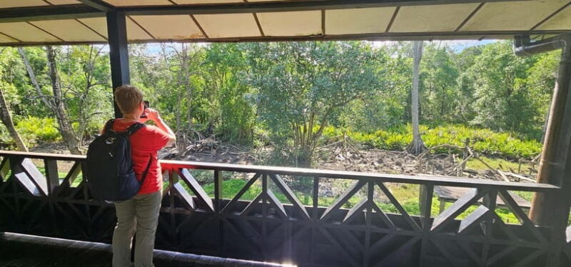 Sepilok OrangUtan, Sun Bear & Labuk Bay Full Day Trip - Final Thoughts