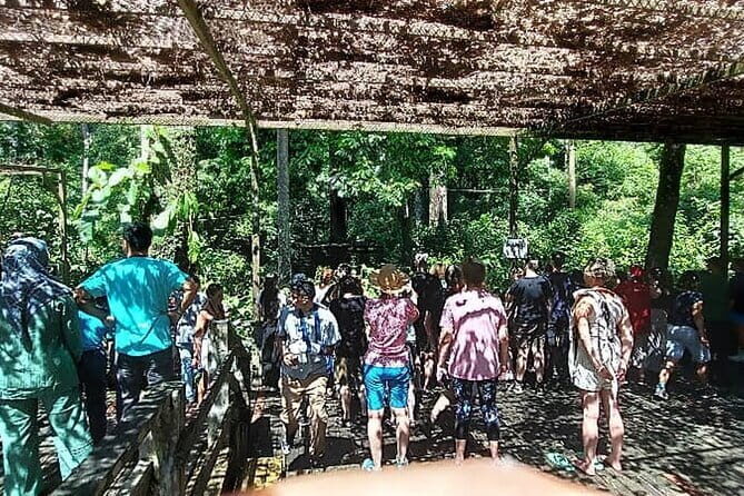 Sepilok Orangutan , SunBear, Proboscis Monkey from Sandakan City - Exploring the Tour in Depth