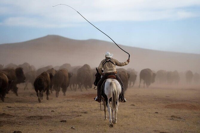 Sept 26 Only - 2025 Custer State Park Buffalo Roundup - Public - Experience the Power and Pride of the Custer State Park Buffalo Roundup
