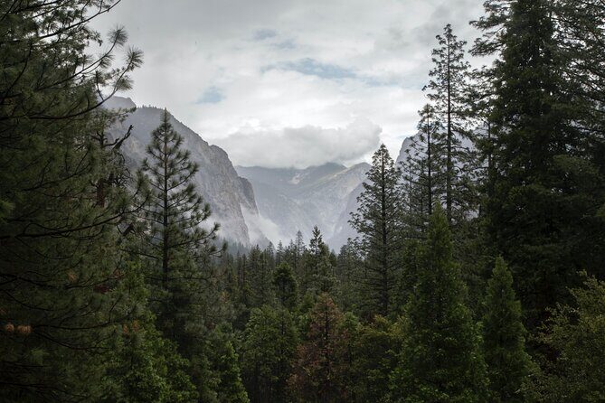 Sequoia Full Day Private Tour and Hike - Key Points
