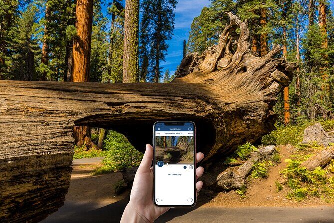 Sequoia & Kings Canyon NP Self-Guided Driving Audio Tour - Frequently Asked Questions