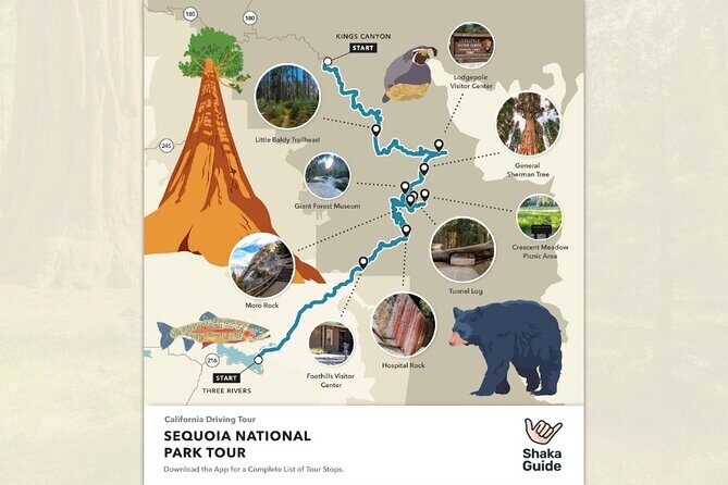 Sequoia National Park Self-Guided Audio Tour - Practical Considerations