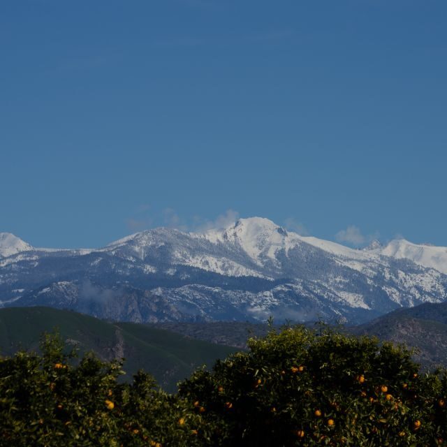 Sequoia National Park: Sherman Tree & Congress Trail Walk - Why This Tour Offers Great Value