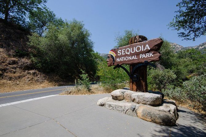 Sequoia Park Private Tour - Key Points