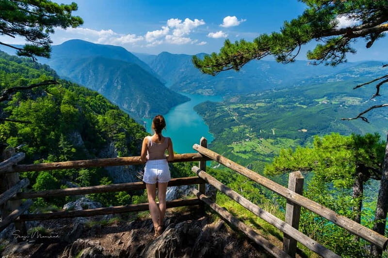 Serbia: Drina River House & Tara National Park Full Day Tour - Serbia: Drina River House & Tara National Park Full Day Tour – A Detailed Review