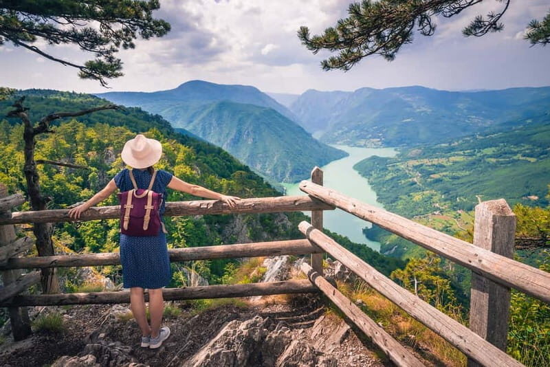 Serbia: Drina River House & Tara National Park Full Day Tour - What Makes This Tour Stand Out?