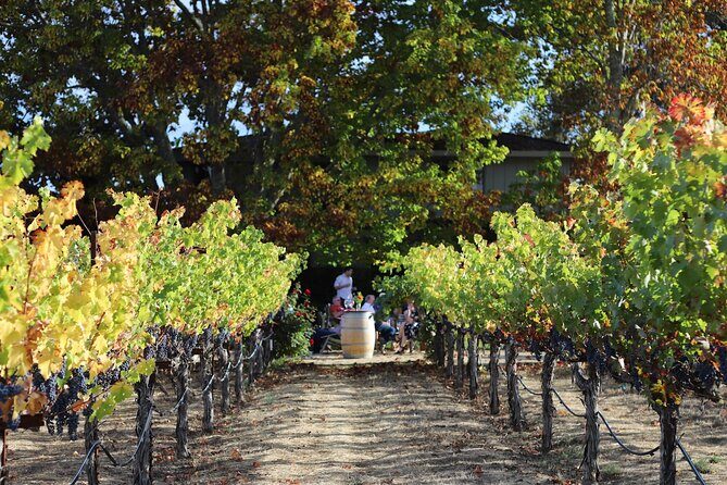 Serene and Romantic Wine Tasting Next to the Vines in Napa Valley - FAQ: Your Practical Questions Answered