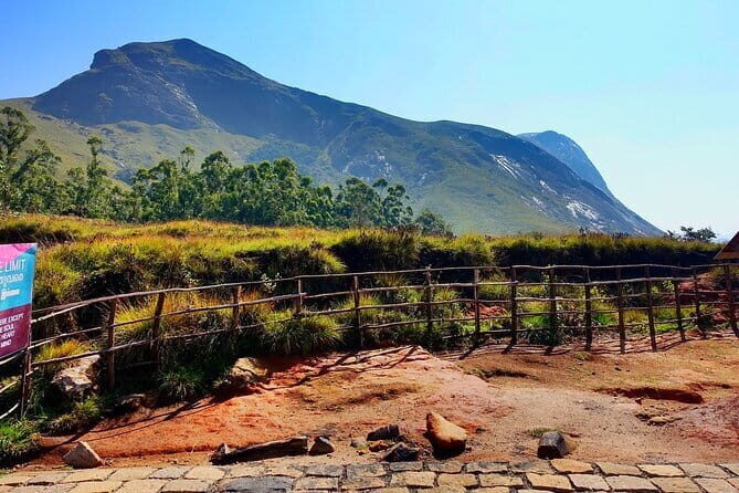 Serene Munnar Retreat: Private Tour from Kochi to the Munnar Hill - An In-Depth Look at the Serene Munnar Retreat Tour