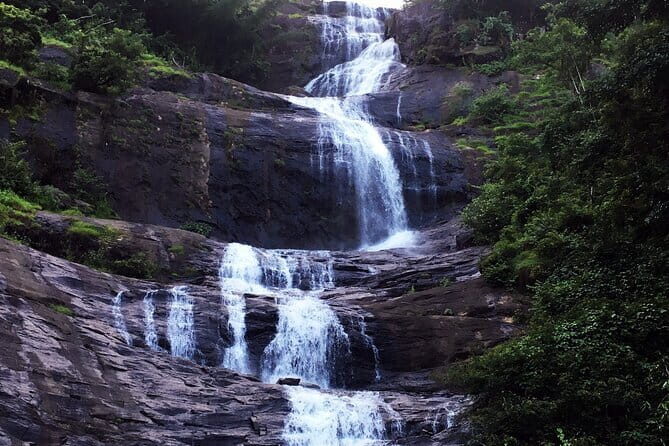 Serene Munnar Retreat: Private Tour from Kochi to the Munnar Hill - The Sum Up