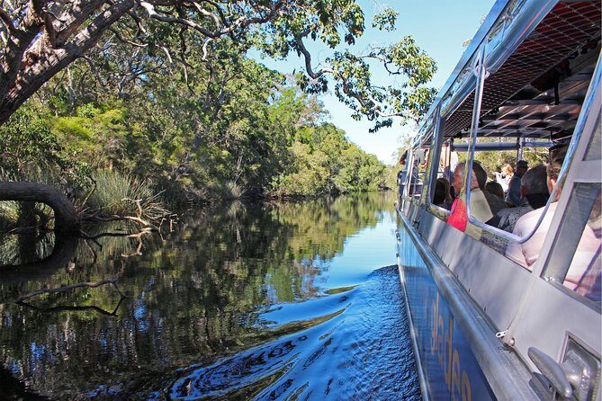 Serenity Cruise to Australia's Everglades - Key Points