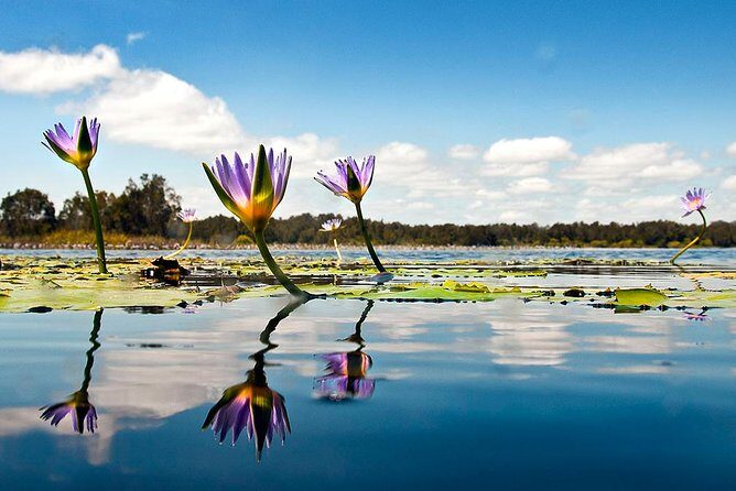 Serenity Cruise to Australia's Everglades - FAQs