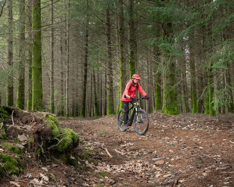 Serra da Estrela: Private E-Bike Tour with Observatory - Potential Drawbacks and Considerations