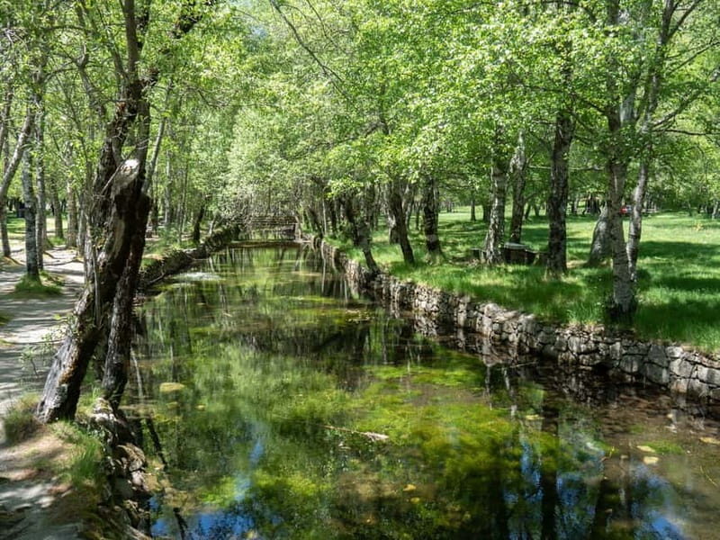 Serra da Estrela: Tour of Natural Highlights - Final Thoughts: Is This Tour Right for You?